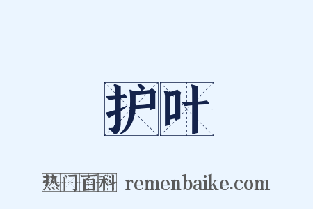 护叶是什么意思的图片